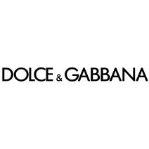 logo dg.jpg logo dg.jpg